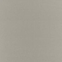 Schumacher Botticelli Silk Taffeta Fog Fabric 63818