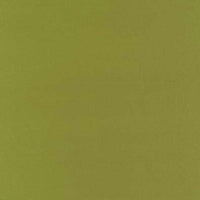 Schumacher Botticelli Silk Taffeta Apple Fabric 63827