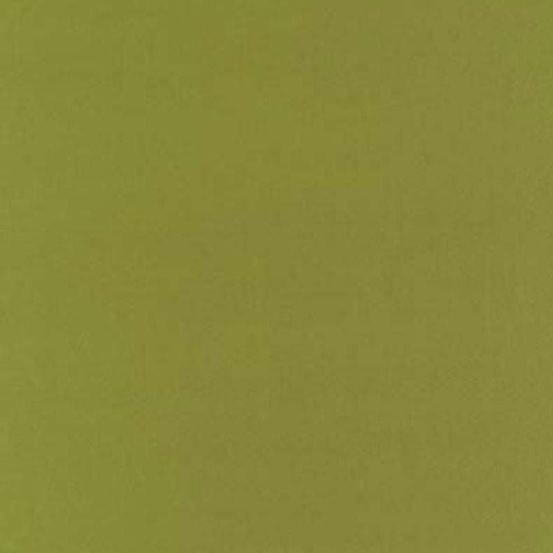 Schumacher Botticelli Silk Taffeta Apple Fabric Sample 63827