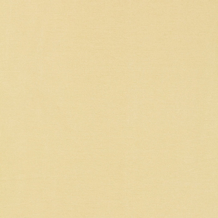Schumacher Tiepolo Shantung Weave Ivory Fabric 63842