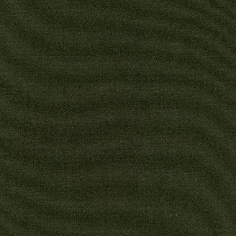 Schumacher Masaccio Taffeta Vert Fabric 63911
