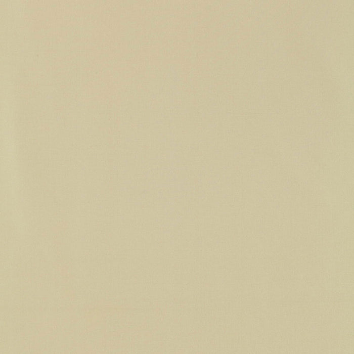 Schumacher Giordano Taffeta Buff Fabric Sample 63931
