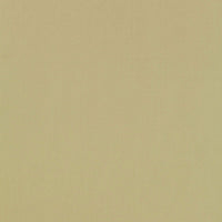 Schumacher Giordano Taffeta Celery Fabric 63962