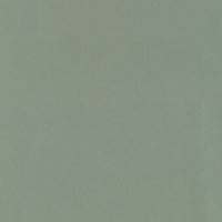Schumacher Giordano Taffeta Spanish Moss Fabric 63965