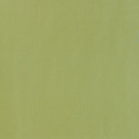 Schumacher Giordano Taffeta Kryptonite Fabric 63970