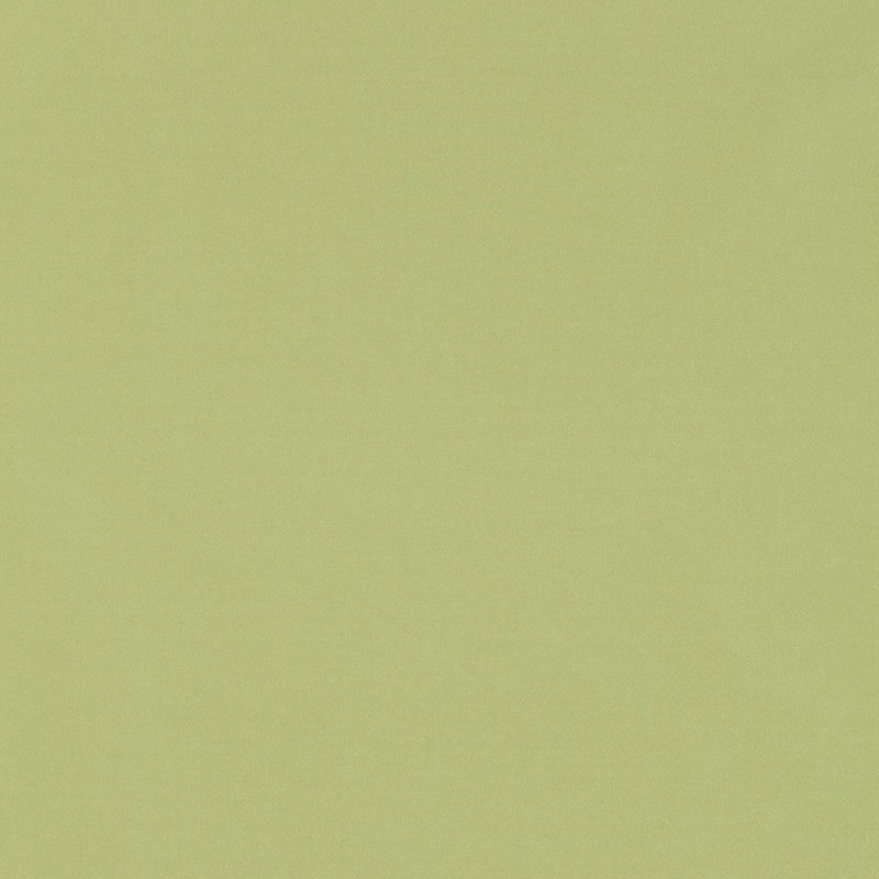 Schumacher Giordano Taffeta Mint Julep Fabric 63971