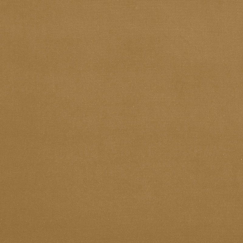 Schumacher Gainsborough Velvet Split Pea Fabric Sample 64561