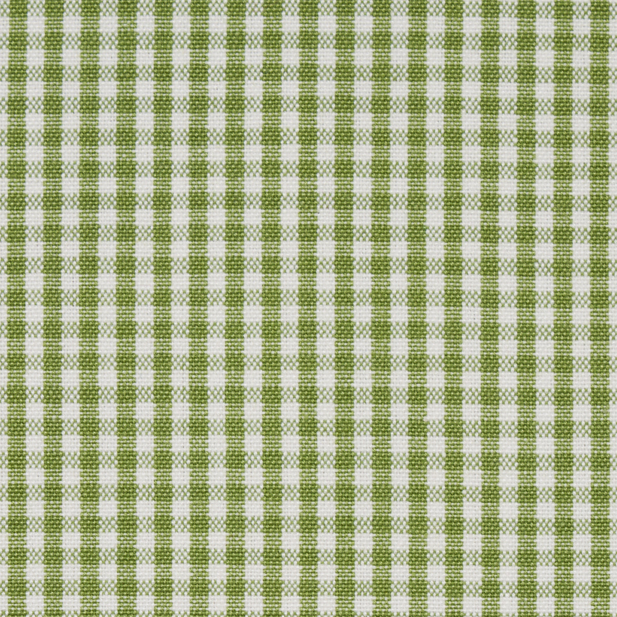 Schumacher Barnet Cotton Check Leaf Fabric 64638