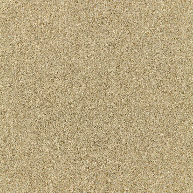 Schumacher San Carlo Mohair Velvet Putty Fabric 64859