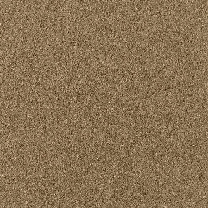 Schumacher San Carlo Mohair Velvet Herb Fabric Sample 64895