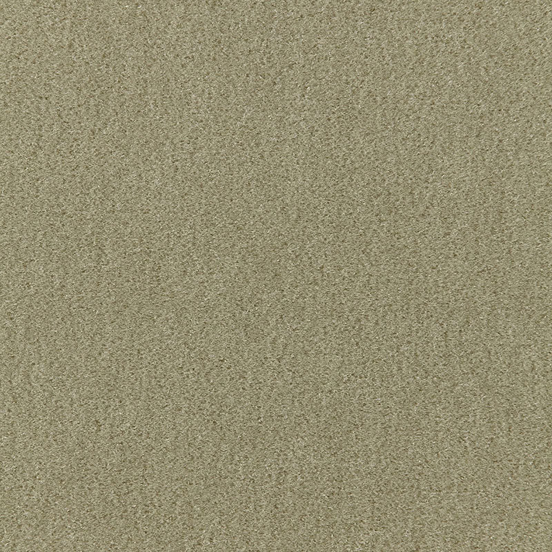 Schumacher Palermo Mohair Velvet Lichen Fabric 64931