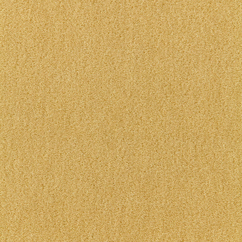 Schumacher Palermo Mohair Velvet Absinthe Fabric Sample 64939