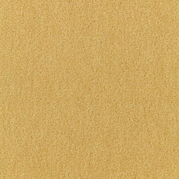 Schumacher Palermo Mohair Velvet Absinthe Fabric Sample 64939