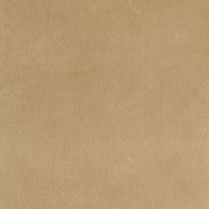 Schumacher Bayeux Velvet Putty Fabric Sample 65311