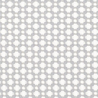 Schumacher Betwixt Zinc/Blanc Fabric 65684