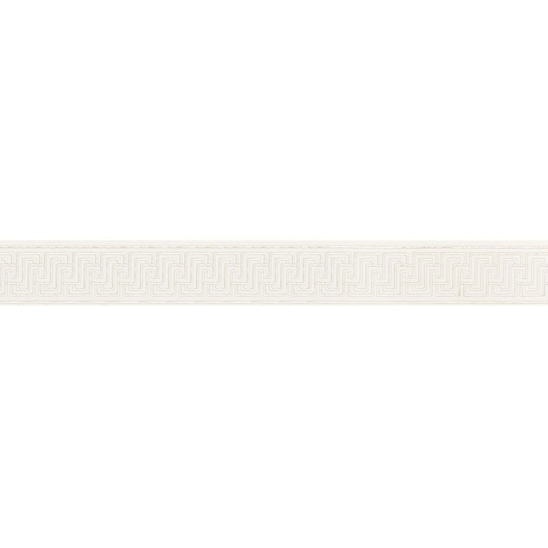 Schumacher Labyrinth Tape Silver Trim Sample 66146