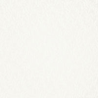 Schumacher Fernwood Sheer Naturel Fabric 66380