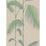 Cole & Son Palm Leaves Taupe/G Wallpaper Sample 66/2011.CS.0