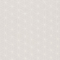 Schumacher Kaleidoscope Pearl Fabric 67212