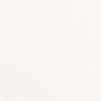 Schumacher Rossini Sheer Ivory Fabric 67660