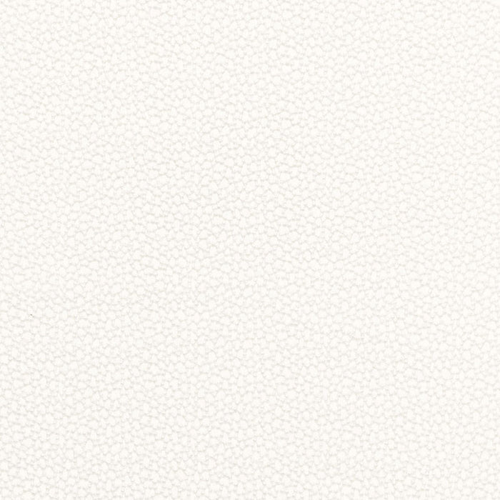 Schumacher Rossini Sheer Ivory Fabric 67660