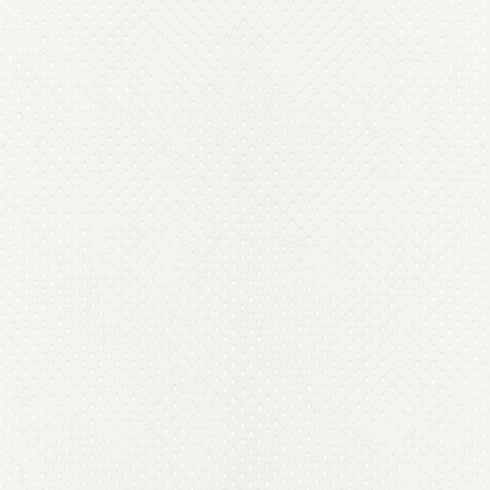 Schumacher Donatello Sheer Ivory Fabric Sample 67670