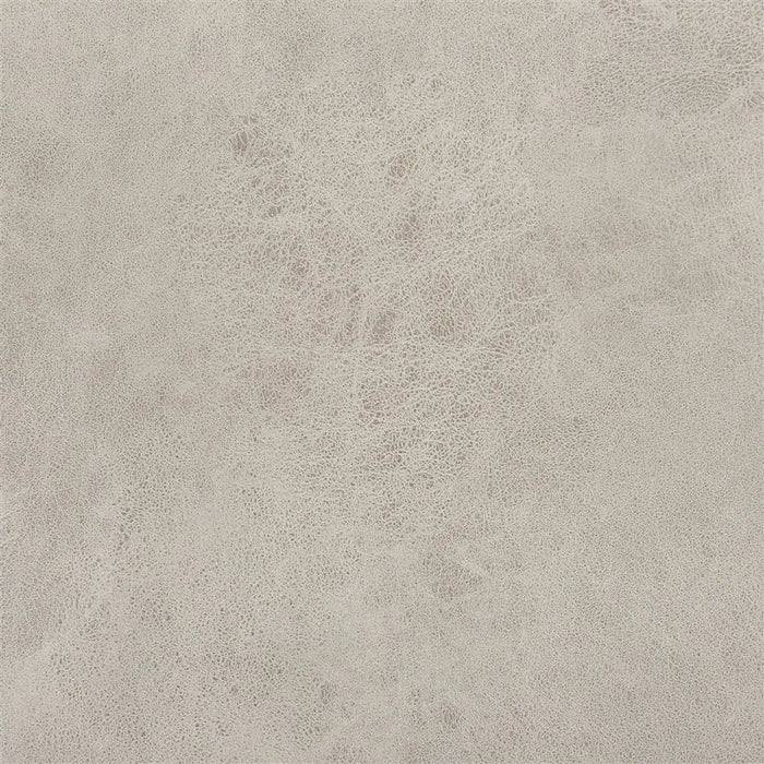 Designers Guild Mesa 6 Sample Sample FDG2539-06