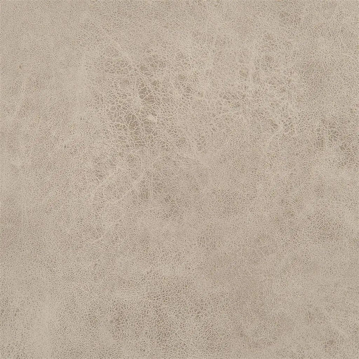 Designers Guild Mesa 7 Sample Sample FDG2539-07