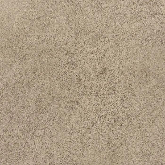 Designers Guild Mesa 8 Sample Sample FDG2539-08