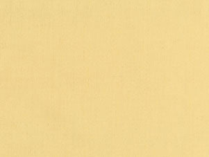 Perennials Sail Cloth Vellum Fabric 680-170