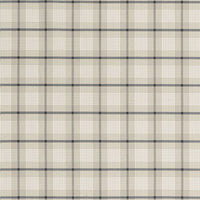 Schumacher St. Lucia Plaid Stone Fabric 68022