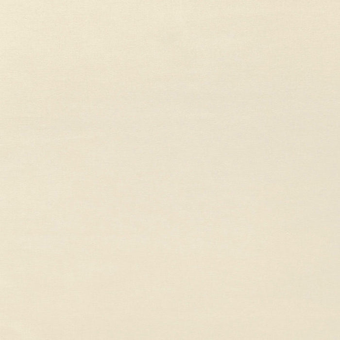 Schumacher Sophia Velvet Limestone Fabric Sample 68116
