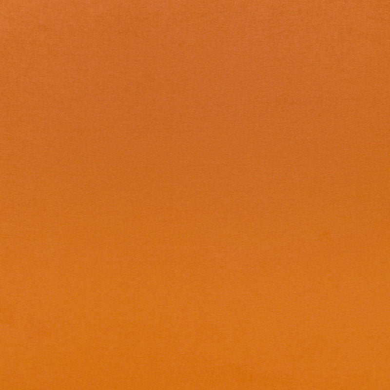 Schumacher Sophia Velvet Valencia Fabric Sample 68132