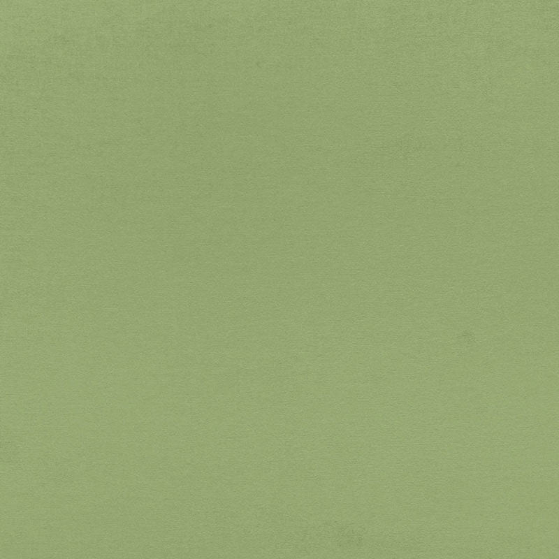 Schumacher Sophia Velvet Willow Fabric Sample 68193