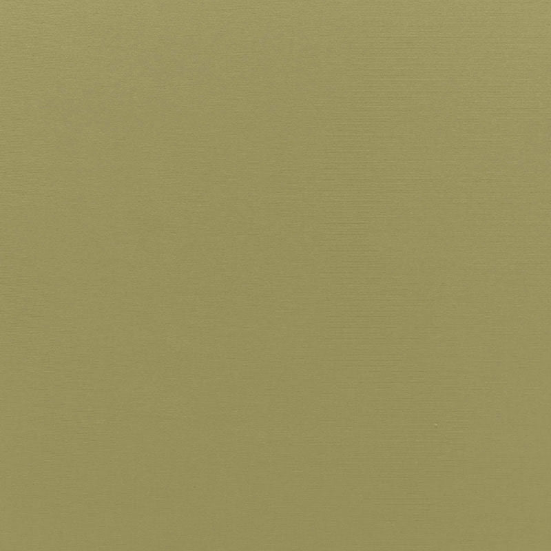 Schumacher Sophia Velvet Olivine Fabric 68194