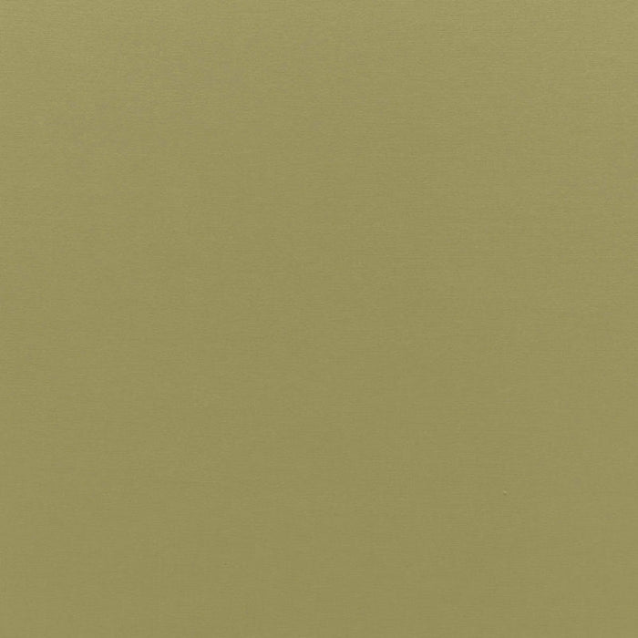 Schumacher Sophia Velvet Olivine Fabric Sample 68194