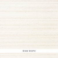 Schumacher Watkins Sheer White Sand Fabric 69110
