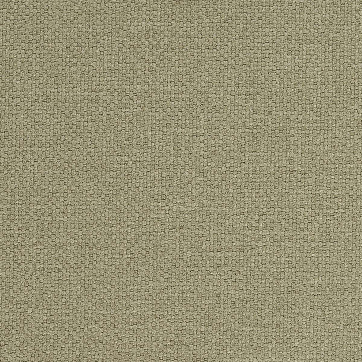 Schumacher Langham High Performance Union Thyme Fabric Sample 69619