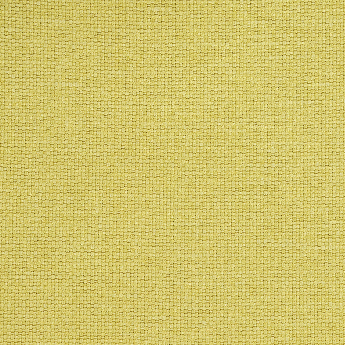 Schumacher Langham High Performance Union Lime Fabric Sample 69667