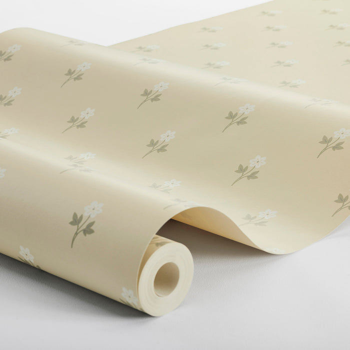 Schumacher Anemone By Borastapeter Wheat Wallpaper Sample 6972