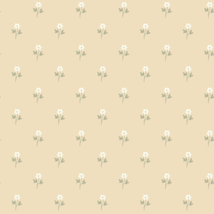 Schumacher Anemone By Borastapeter Wheat Wallpaper Sample 6972