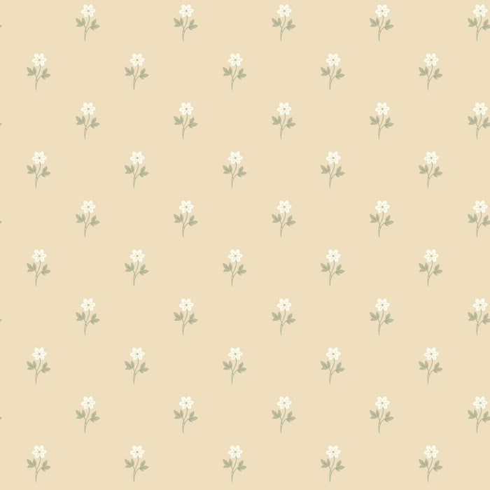 Schumacher Anemone By Borastapeter Wheat Wallpaper Sample 6972