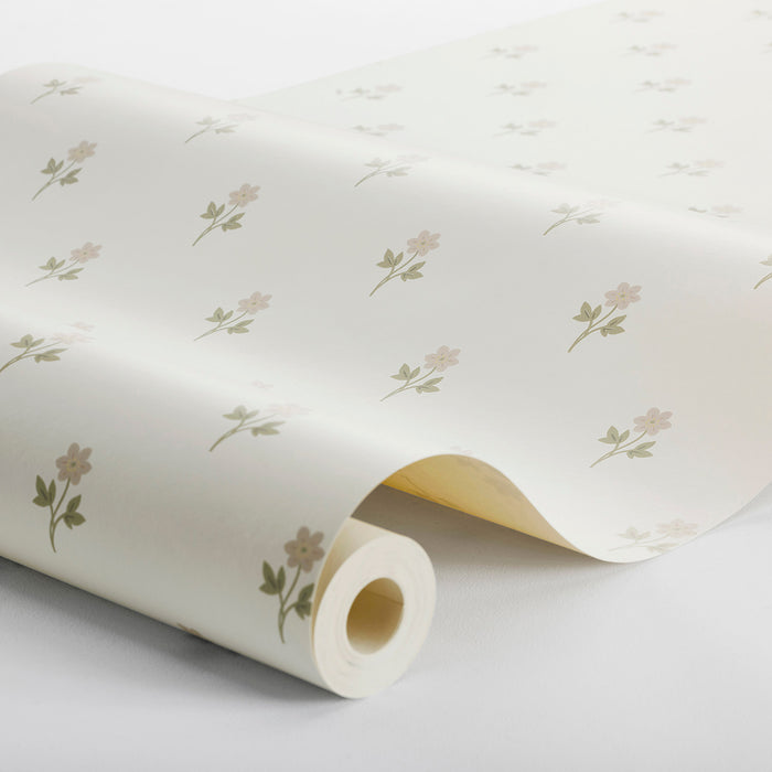 Schumacher Anemone By Borastapeter Blush Wallpaper 6973