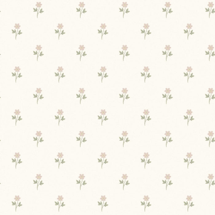 Schumacher Anemone By Borastapeter Blush Wallpaper Sample 6973