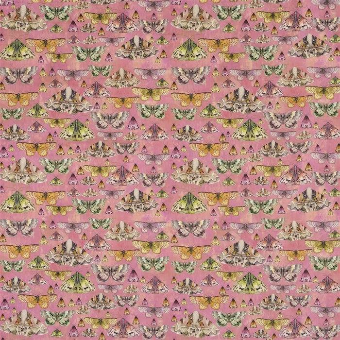 Designers Guild Issoria 3 Sample Sample FDG2566-03