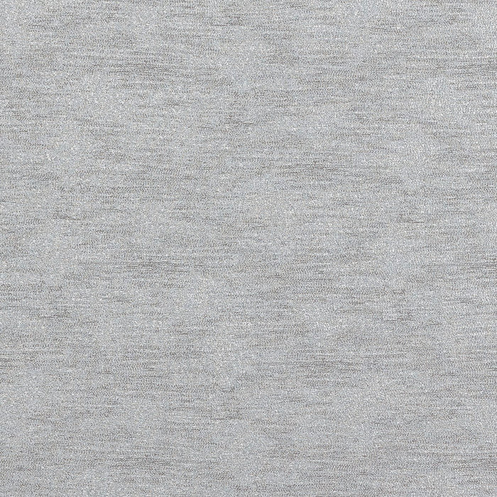 Schumacher Argento Mercury Fabric 69890