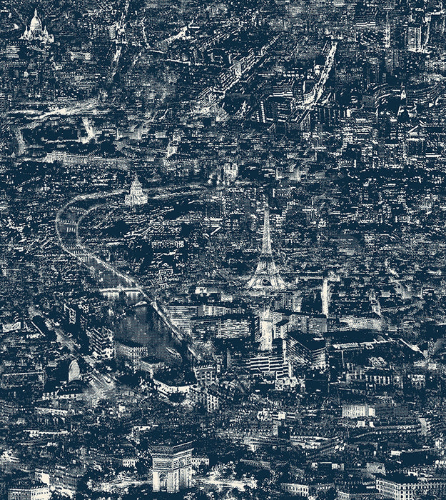 Pierre Frey Paname Paname Wallpaper Sample FP143001