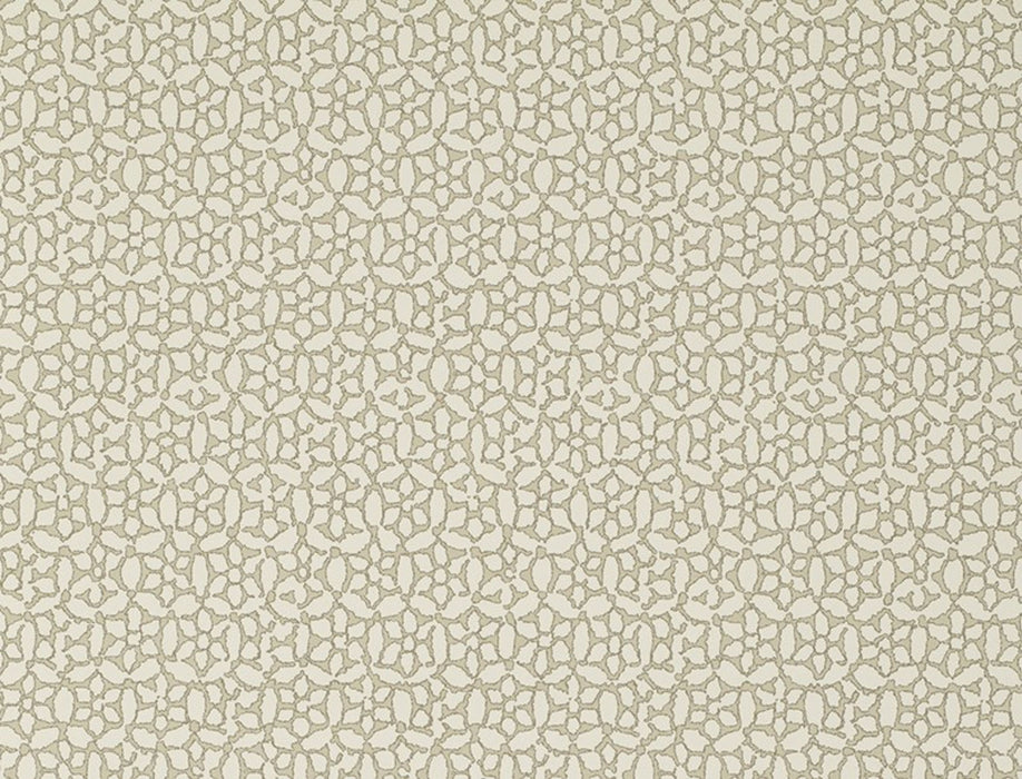 No.9 Thompson Chinese Daisy  Tiger Eyes Wallpaper Sample N9021004003