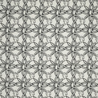 Pierre Frey Ouroboros Noir Fabric F3343001