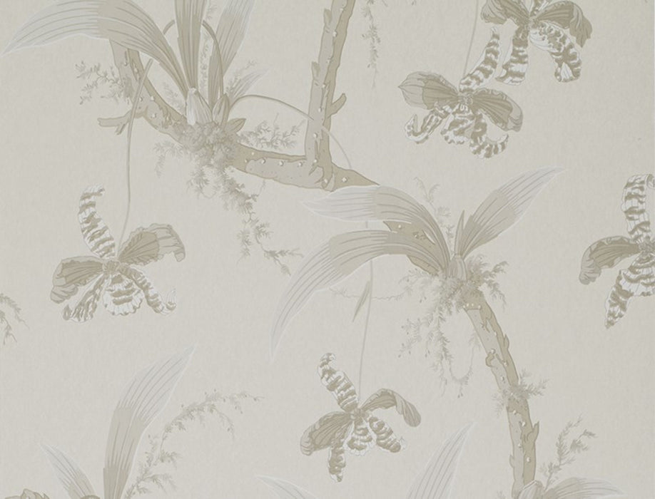 Jim Thompson Mandarin Orchids  Pearly Gates Wallpaper Sample JT021017002
